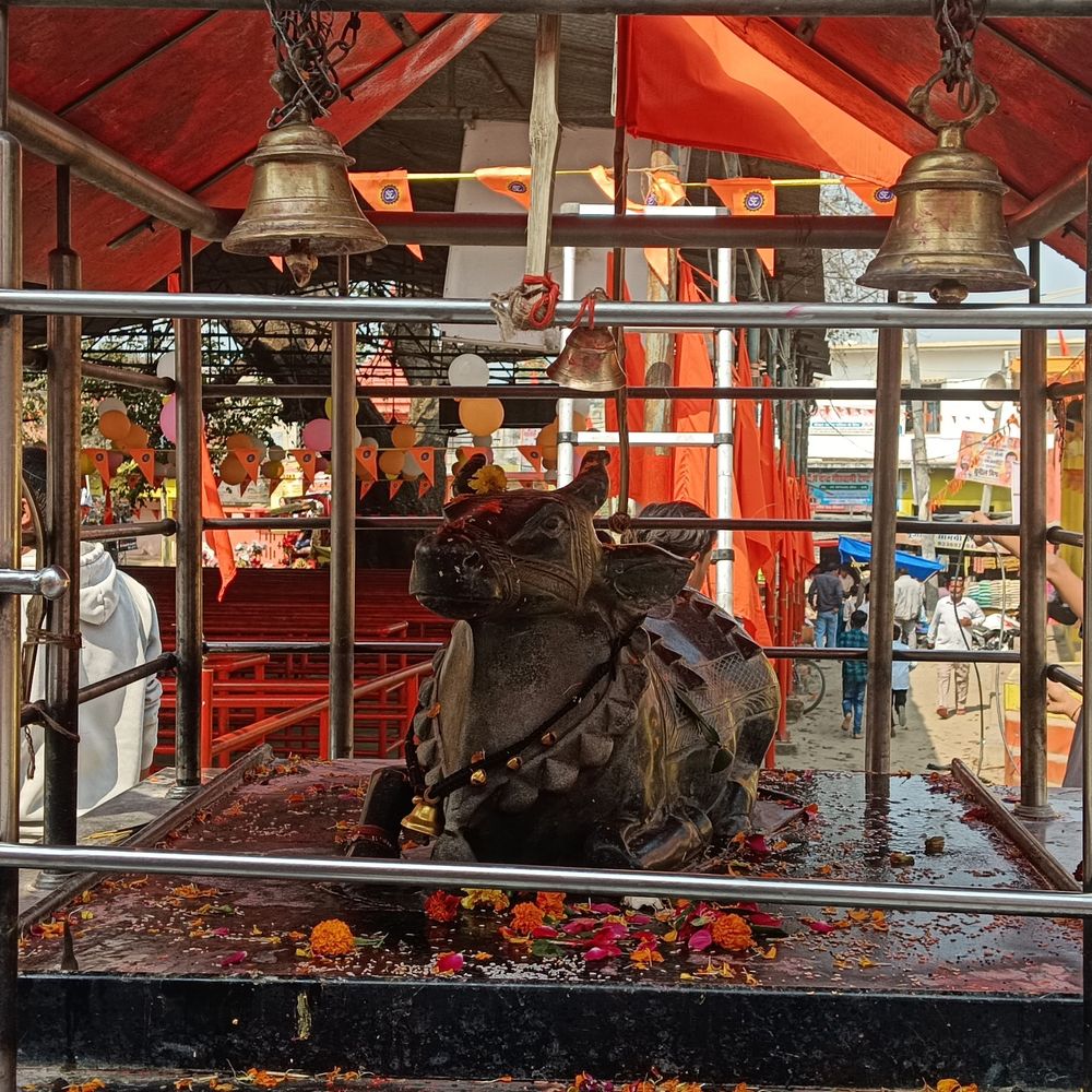 महाशिवरात्रि पर्व कल, शिवालयों में अंतिम तैयारियां पूरी:सुरक्षा और स्वच्छता के साथ विशेष पूजा-अर्चना की व्यवस्था