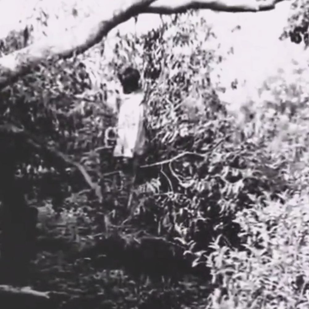 बस्ती में युवक का शव पेड़ से लटका मिला:परिजन बोले- कथा में गया था, घर नहीं लौटा, पारिवारिक कलह की आशंका