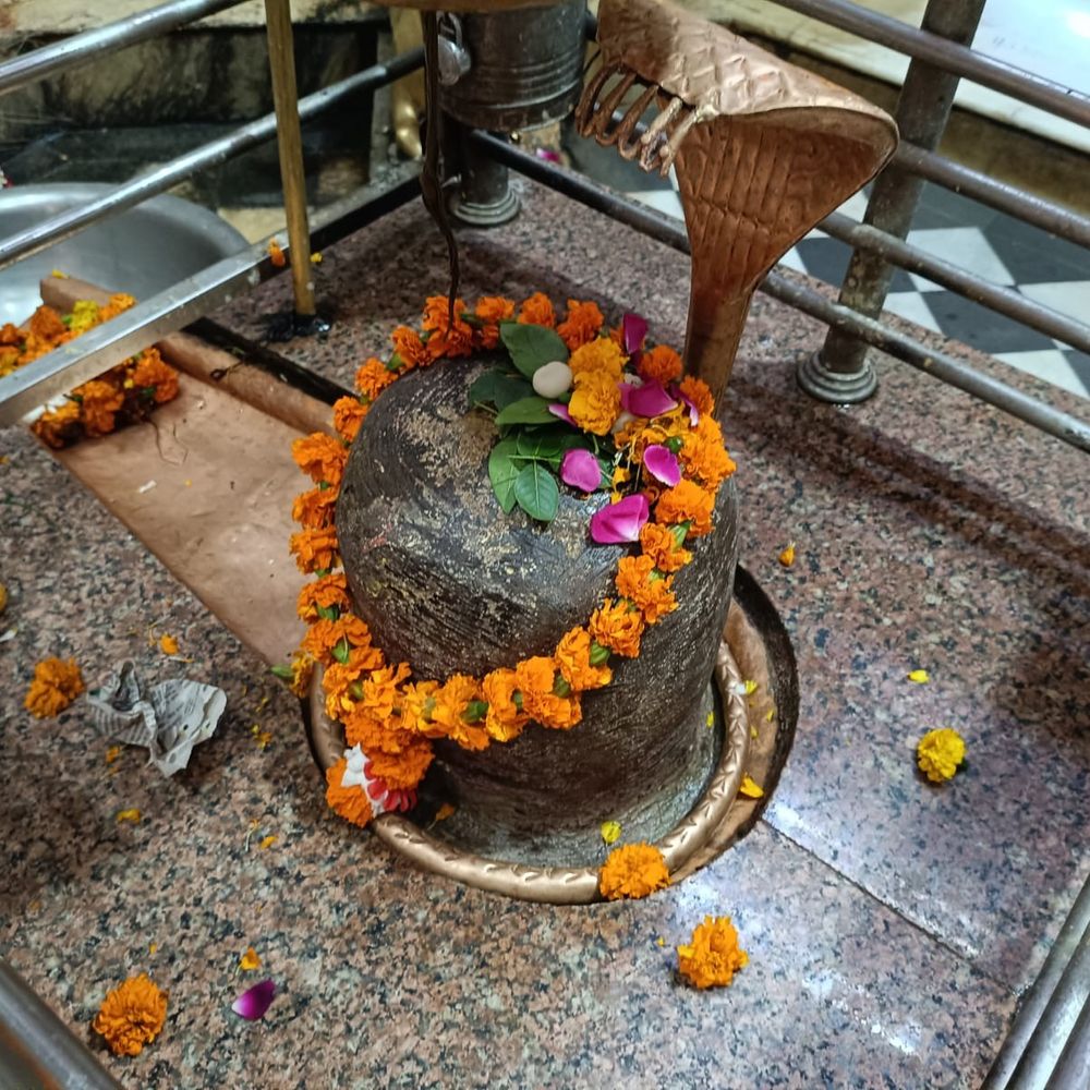 छोटी काशी में महाशिवरात्रि की धूम:झारखंडी मंदिर से निकलेगी भोलेनाथ की भव्य बरात