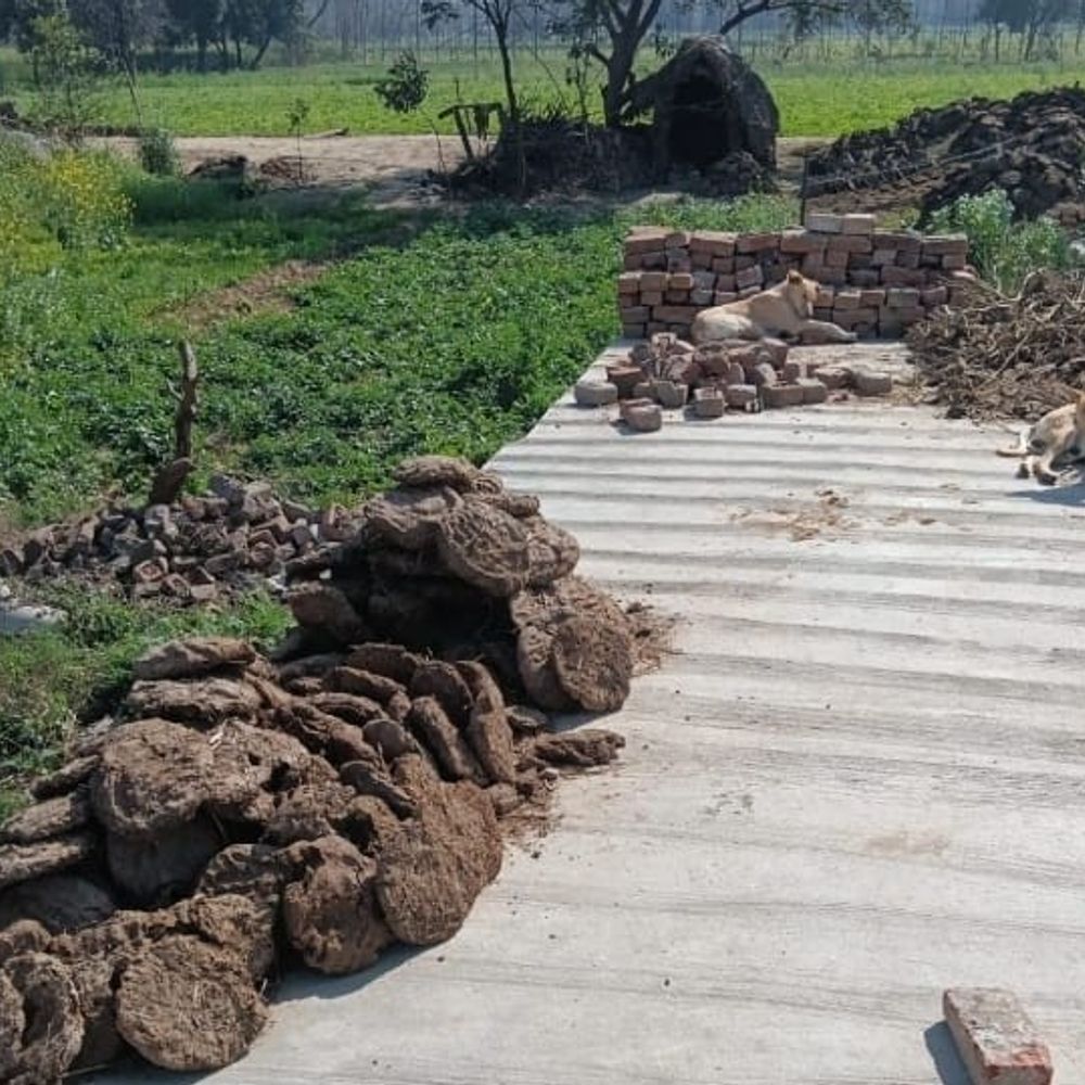 चेयरमैन पर लाइसेंसी बंदूक से फायरिंग का आरोप:दीवार विवाद में महिला ने जान से मारने की धमकी का लगाया आरोप