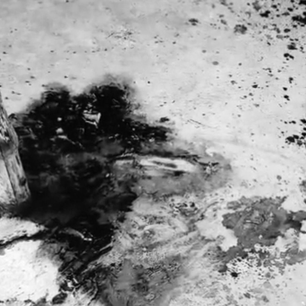 दरवाजे पर महिला का खून से लथपथ शव मिला:बस्ती में हत्या की आशंका, पुलिस जांच में जुटी