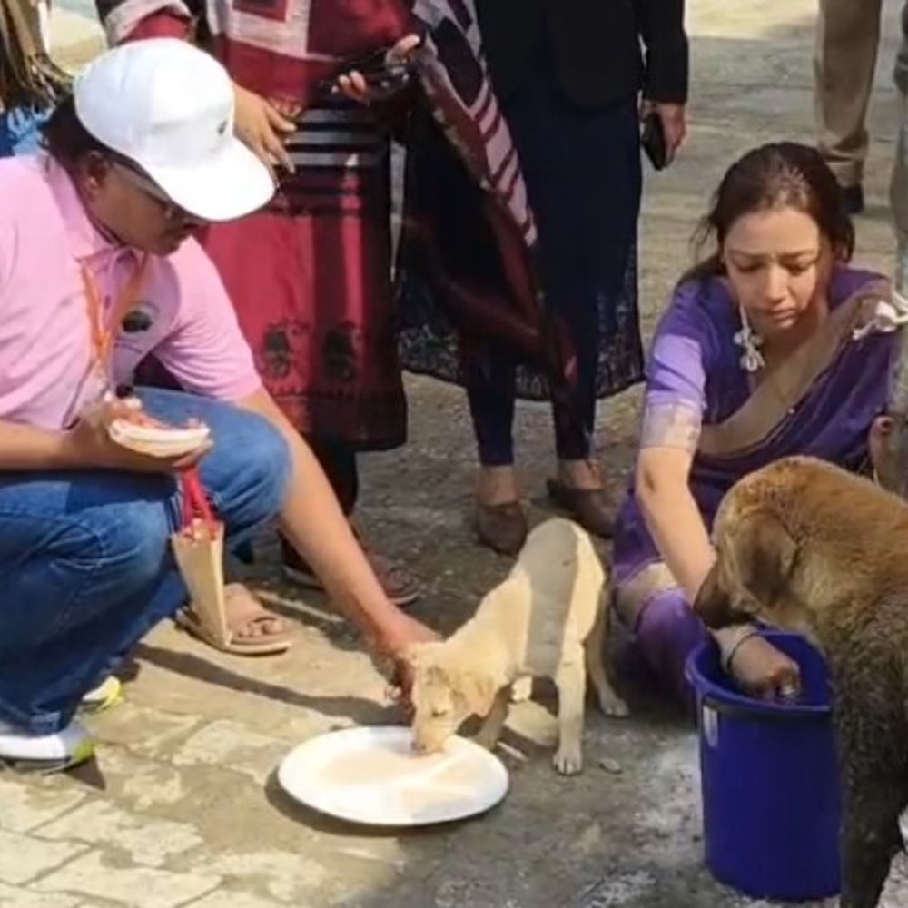 बागपत में डीएम की अनोखी पहल:शिवलिंग पर चढ़ा दूध अब पशु-पक्षियों का आहार बनेगा