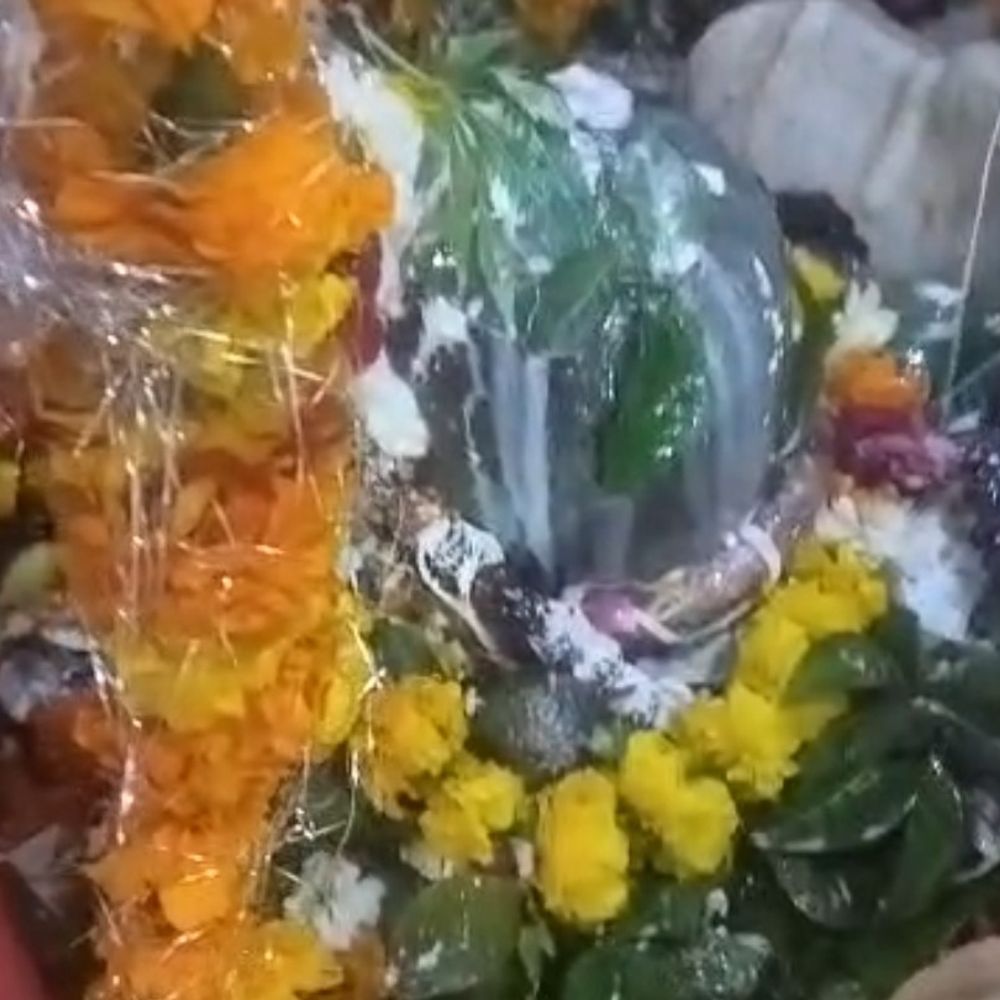 मुरादाबाद में महाशिवरात्रि पर उमड़ी भक्तों की भीड़:जय भोले के नारों से गूंजे शिवालय