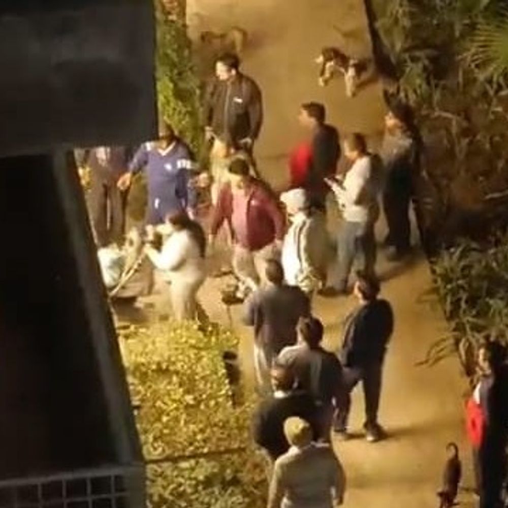 सोसाइटी में बिना मजल कुत्ते टहलाने पर विवाद:निवासियों और डॉग ऑनर में बहस, पुलिस में शिकायत दर्ज