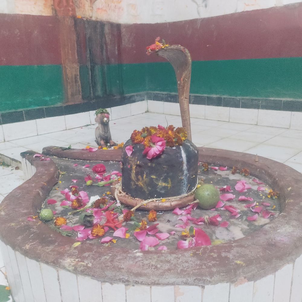 200 साल पुराने पातालेश्वर मंदिर में महाशिवरात्रि पर जागरण:कुएं की खुदाई में मिली थी शिवलिंग, ग्रामीणों ने बनाया था मंदिर