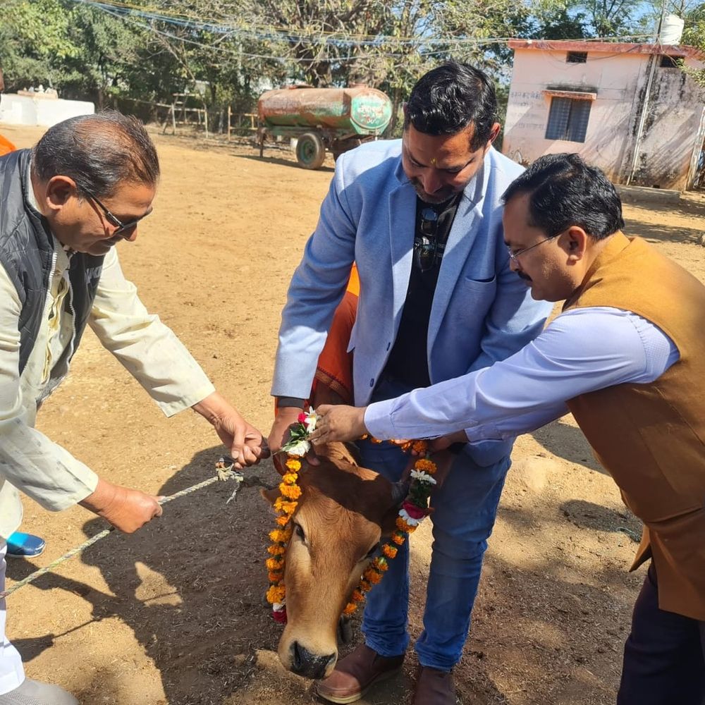 ललितपुर में गौशाला में सीडीओ ने किया नंदी पूजन:अधिकारियों-ग्रामवासियों ने गो संरक्षण-संवर्धन का लिया संकल्प