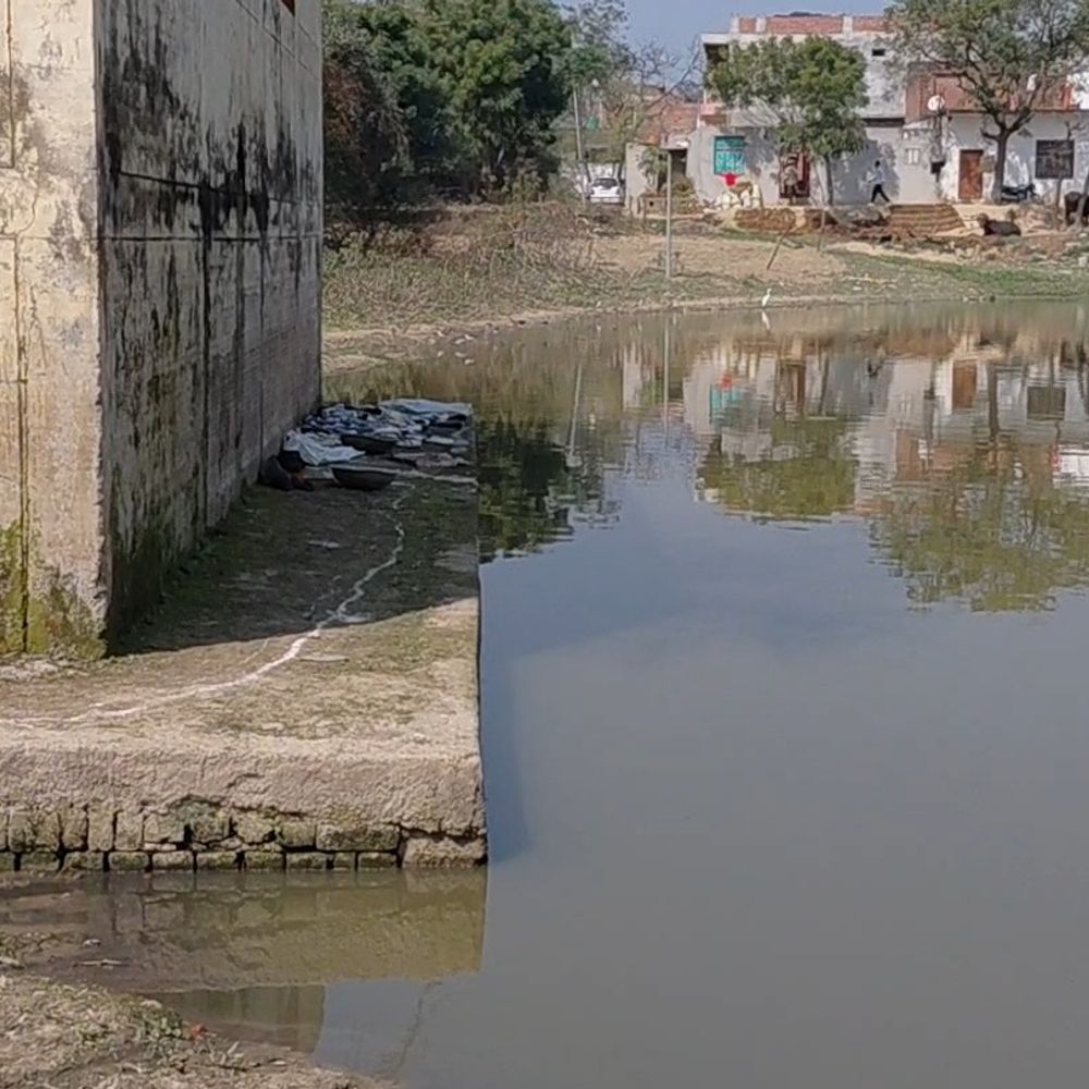 फर्रुखाबाद के तालाब में डेढ़ क्विंटल मछलियां मरीं:किसी ने डाली दवा, पालक को ₹20 हजार का नुकसान