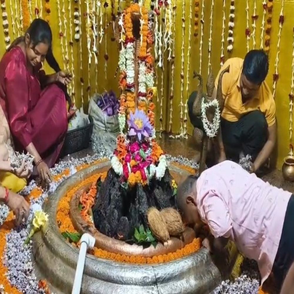 महाशिवरात्रि पर प्राचीन शिव मंदिरों में पूजा-अर्चना:जांजगीर-चांपा के लक्ष्मणेश्वर, लिंगेश्वर और कलेश्वरनाथ मंदिरों में उमड़ी श्रद्धालुओं की भारी भीड़