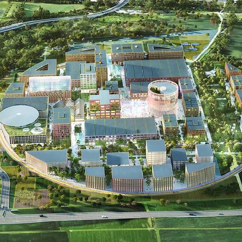 आंध्र के अमरावती में बनेगी देश की पहली AI यू​निव​र्सिटी:19 फरवरी को रखी जाएगी आधारशिला; 2029 से एडमिशन शुरू होंगे, 8वीं से मिलेगा प्रवेश