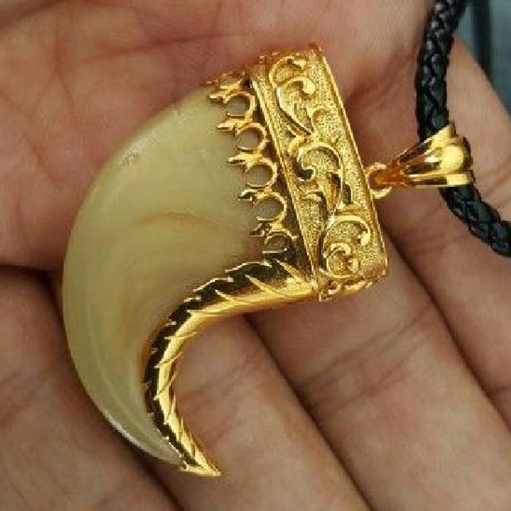 सोने की चेन में लगा रहे तेंदुए का नाखून:हिमाचल में बना स्टेटस सिंबल, ऊपरी शिमला में चल रहा ट्रेंड; ज्वेलर्स दूसरे राज्यों से कर रहे तस्करी