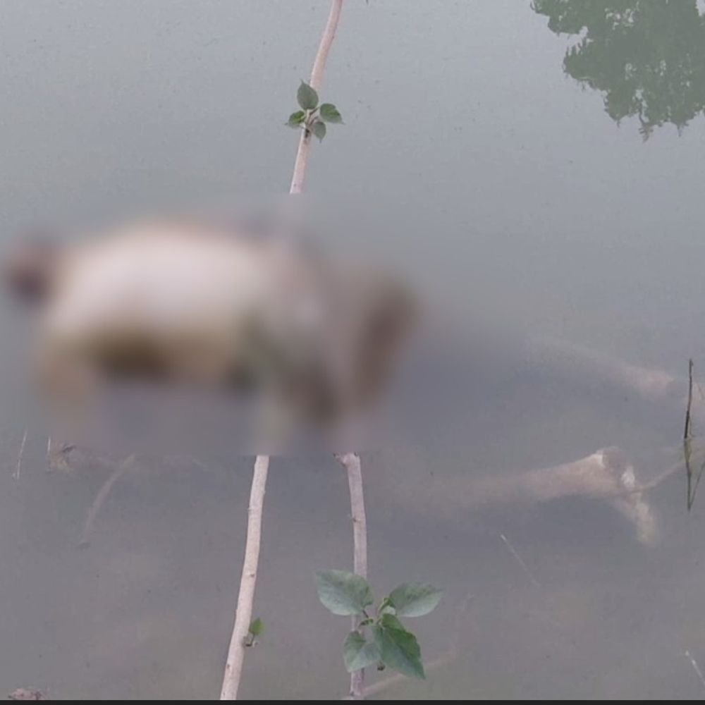 जालौन में नहर से अज्ञात व्यक्ति का शव बरामद:पुलिस ने पहचान के लिए जांच शुरू की, पोस्टमार्टम रिपोर्ट से स्पष्ट होगी मौत की वजह