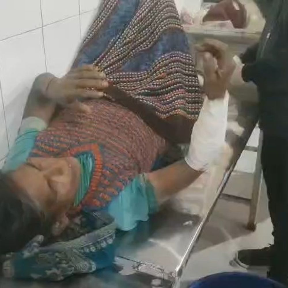 सीतापुर में आवारा कुत्ते ने बुजुर्ग महिला को घायल किया:मवेशी को चारा डालते समय हमला, गंभीर हालत में अस्पताल में भर्ती