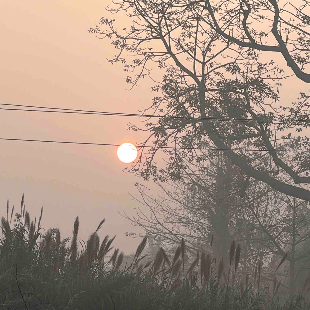 रामपुर में मौसम बदला, पारा 11 डिग्री पर पहुंचा:कोहरे और ठंडी हवाओं से जनजीवन प्रभावित, सुबह ठिठुरन बढ़ी