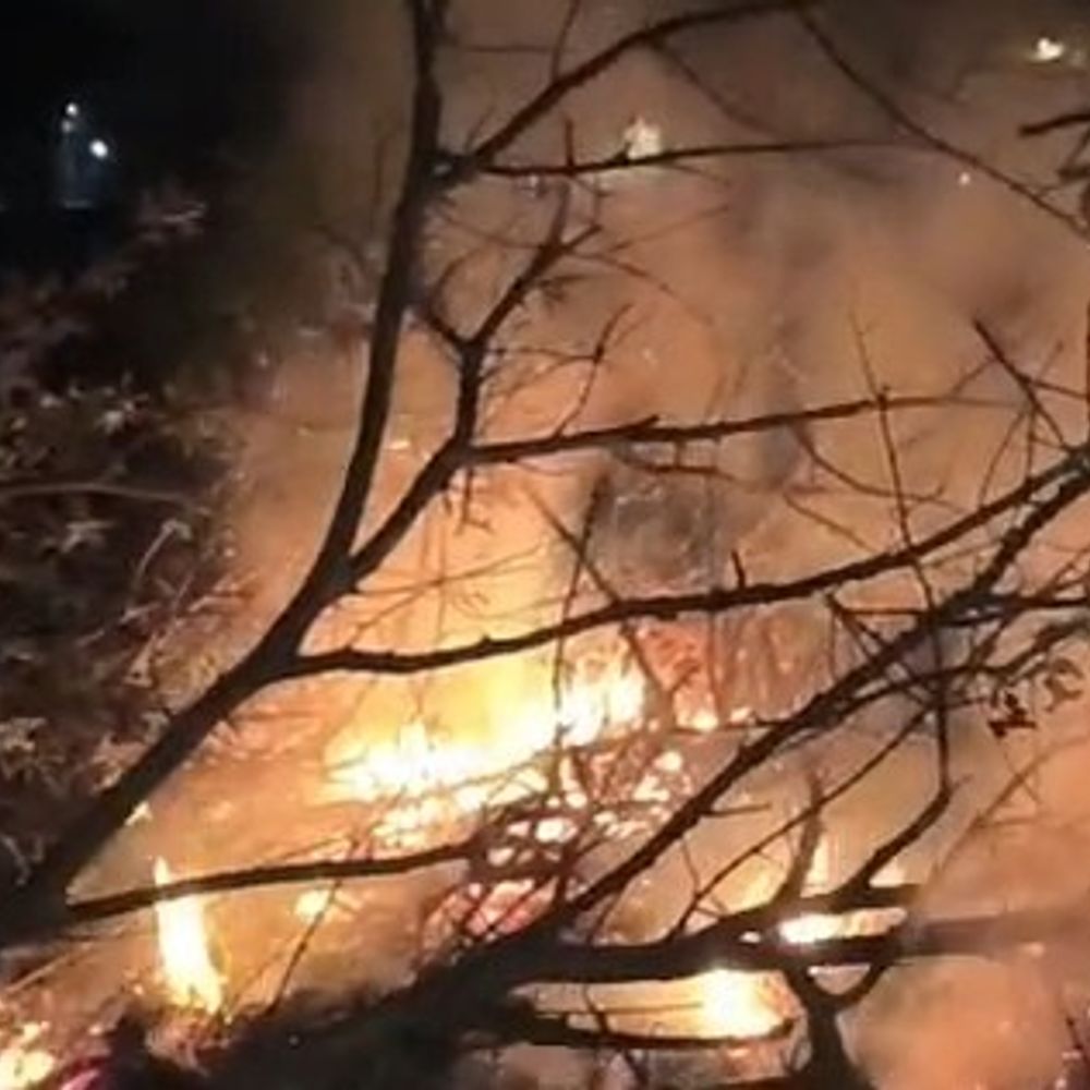 उन्नाव में भूमाफियाओं का आतंक:किसान का बाग उजाड़ा, झोपड़ी जलाई, जमीन पर कब्जे की कोशिश