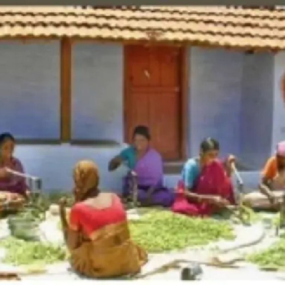 तमिलनाडु में आदिवासियों ने बनाई खुद की कंपनी:100 से ज्यादा गांवों के हजारों लोगों ने जंगल के उत्पादों को बाजार तक पहुंचाया, 1.4 करोड़ रु. से ज्यादा टर्नओवर