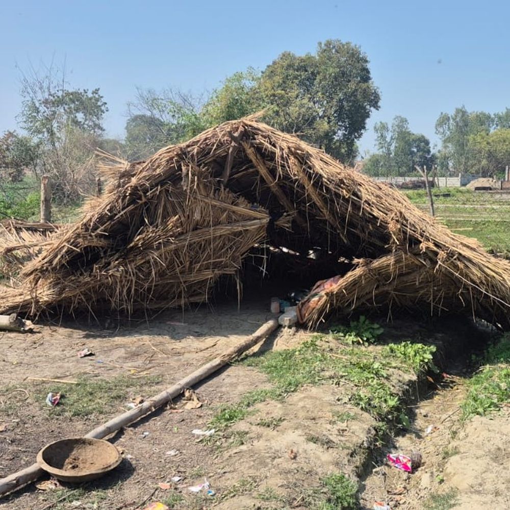 उन्नाव में अमरूद का बाग उजाड़ा:जमीन कब्जाने की कोशिश, दो के खिलाफ FIR दर्ज, पुलिस जांच में जुटी