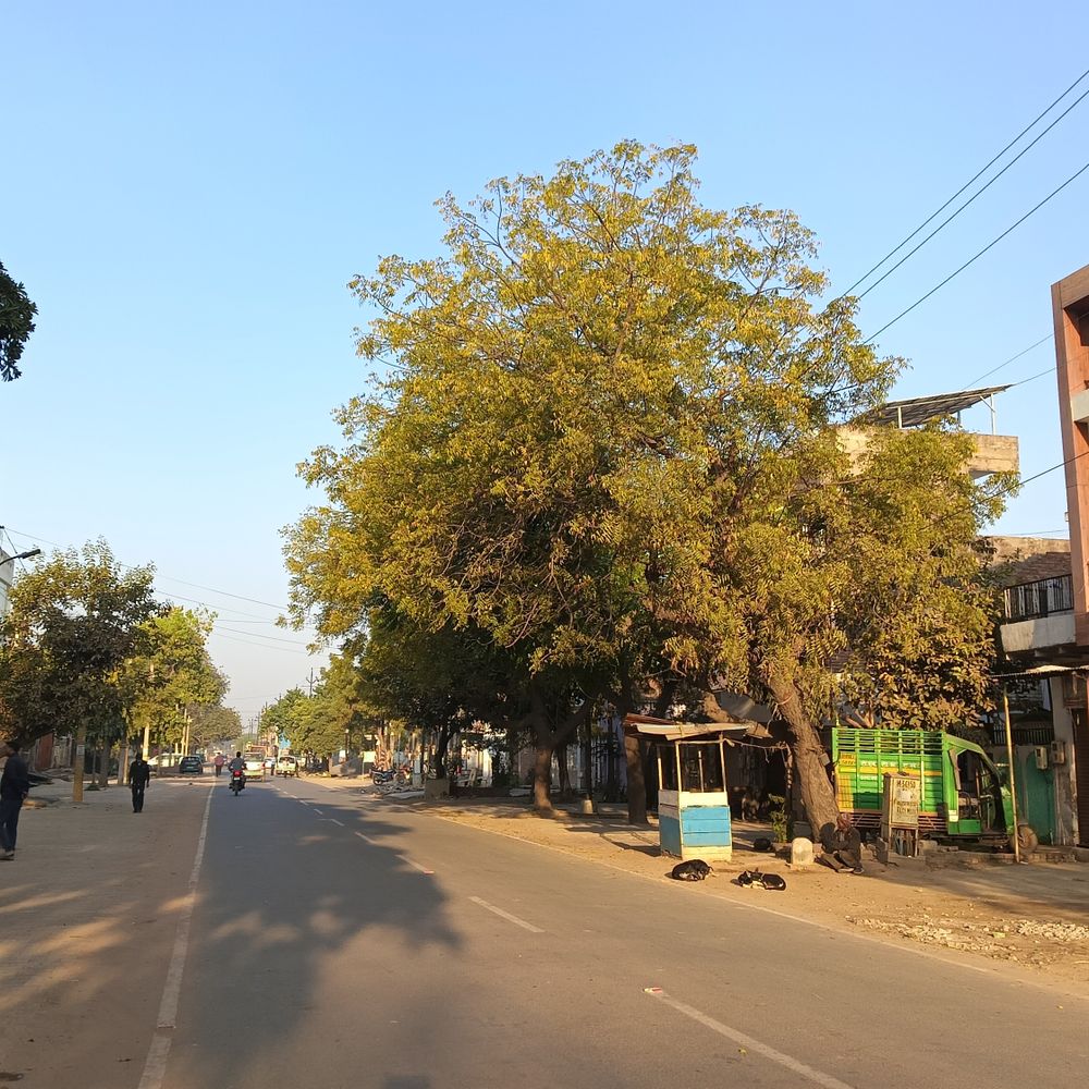 आगरा में सुबह 17°C के लगभग रहा तापमान:दिन में पहुंच सकता है 30°C, सुबह-शाम पड़ रही हल्की ठंड