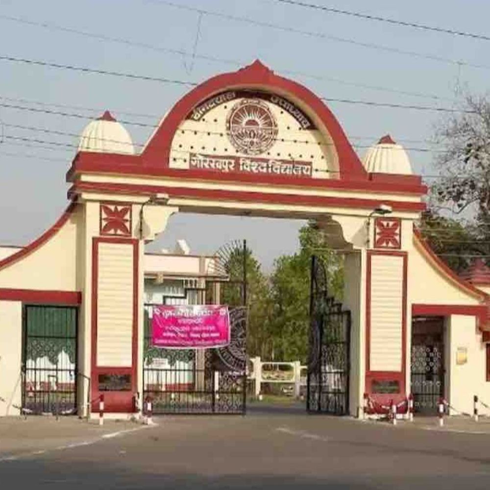 DDU में पहली बार शुरू हई ऑनलाइन परीक्षा:स्टूडेंट्स घर बैठे दे रहे एग्जाम, कुलपति बोलीं- हमारे लिए गर्व का पल