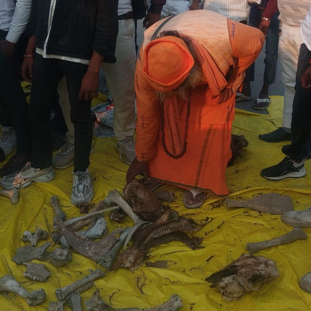 गोवंश कंकाल रखकर बजरंग दल ने किया चक्काजाम:महराजगंज में गोशालाओं की बदहाली पर जताया विरोध, अधिकारियों के खिलाफ कार्रवाई की मांग की