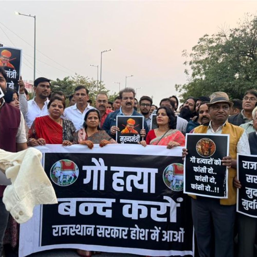 गोहत्या के विरोध में कांग्रेस ने निकाली गोरक्षा यात्रा:  खाचरियावास ने दी राजभवन और विधानसभा घेराव की चेतावनी – Jaipur News