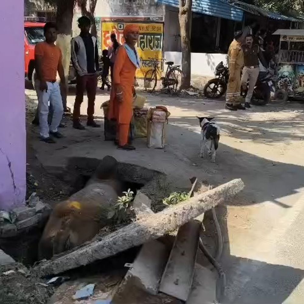 मैनपुरी के गोला बाजार में सांडों की लड़ाई:लड़ते लड़ते नाले में गिरे; 20 मिनट जाम, फायर टीम ने बाहर निकाला