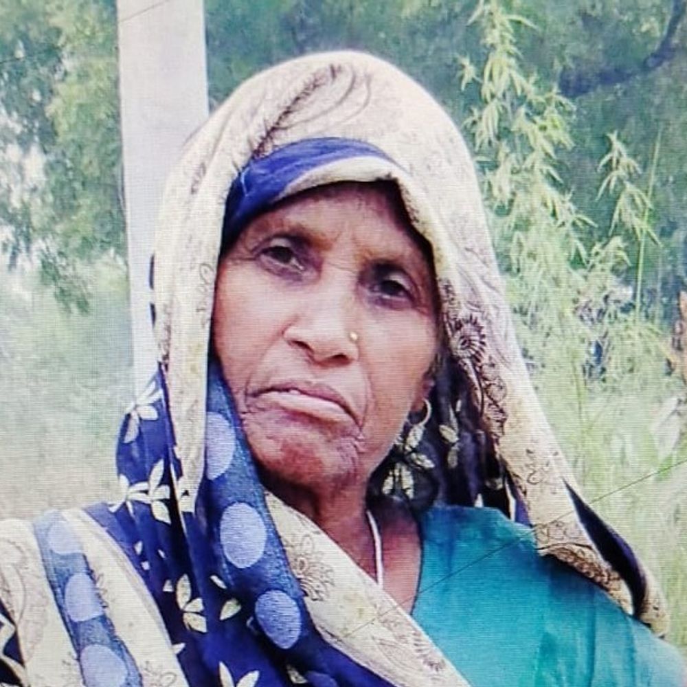 एटा में मैक्स पिकअप की टक्कर से महिला की मौत:रामनगर गांव के पास सड़क पार करते समय हादसा, खेत से लौट रही थी