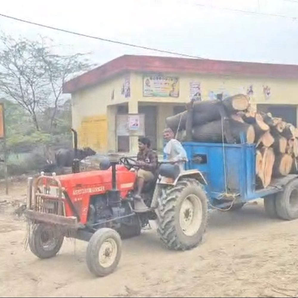 लकड़ी माफियाओं ने पुलिस टीम पर किया हमला:दरोगा समेत 2 पुलिसकर्मी घायल, 1 आरोपी गिरफ्तार