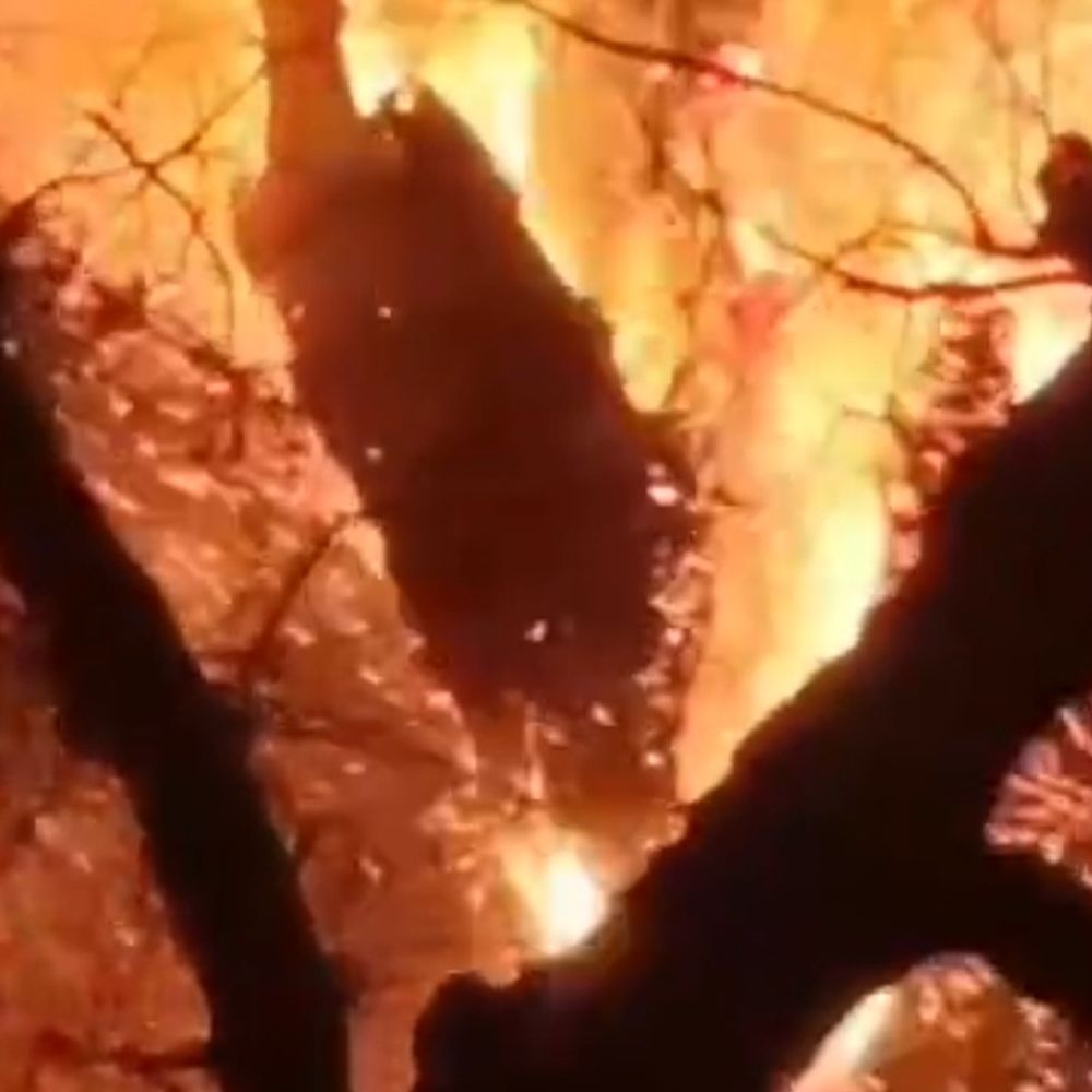 अंबेडकरनगर में चूड़ी गली में लगी भीषण आग:दरगाह किछौछा में 10 दुकानें जलकर राख, शॉर्ट सर्किट से हादसे की आशंका