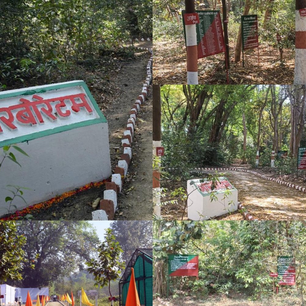 सीबीगंज में बनेगा बरेली का पहला 'नगर वन':30 हेक्टेयर में विकसित होगा 'ग्रीन लंग', मिलेगा ईको टूरिज्म हब