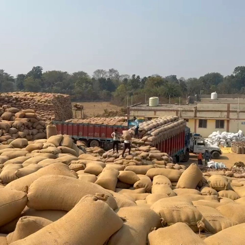 खरीदी केंद्रों पर बफर लिमिट से ज्यादा धान:गरियाबंद में मिलर्स की कम रुचि; खरीदी केंद्रों में लिमिट से 4-8 गुना ज्यादा धान मौजूद