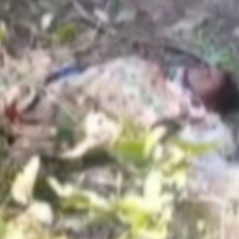 गोंडा में झाड़ियों में मिली महिला की लाश:मौत का कारण स्पष्ट नहीं, जांच के लिए भेजा, चोट का कहीं कोई निशान नहीं