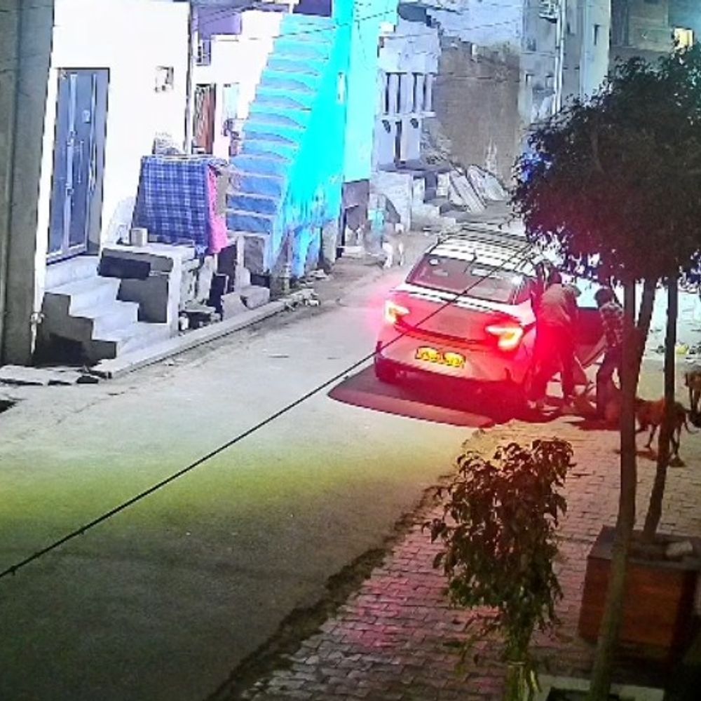 हाथरस में कार से सूअर उठा ले गए चोर, VIDEO:पूरी घटना सीसीटीवी कैमरे में कैद, मालिक ने दी तहरीर