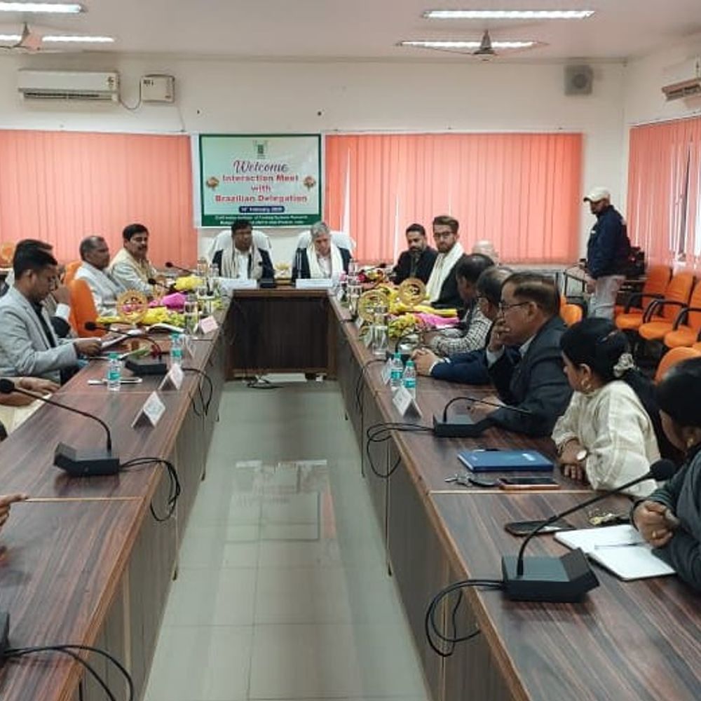 मेरठ के किसानों से मिले ब्राजील के कृषि मंत्री:प्राकृतिक खेती और पुनर्योजी कृषि पर वैज्ञानिकों से की चर्चा, गुड़ का स्वाद लिया