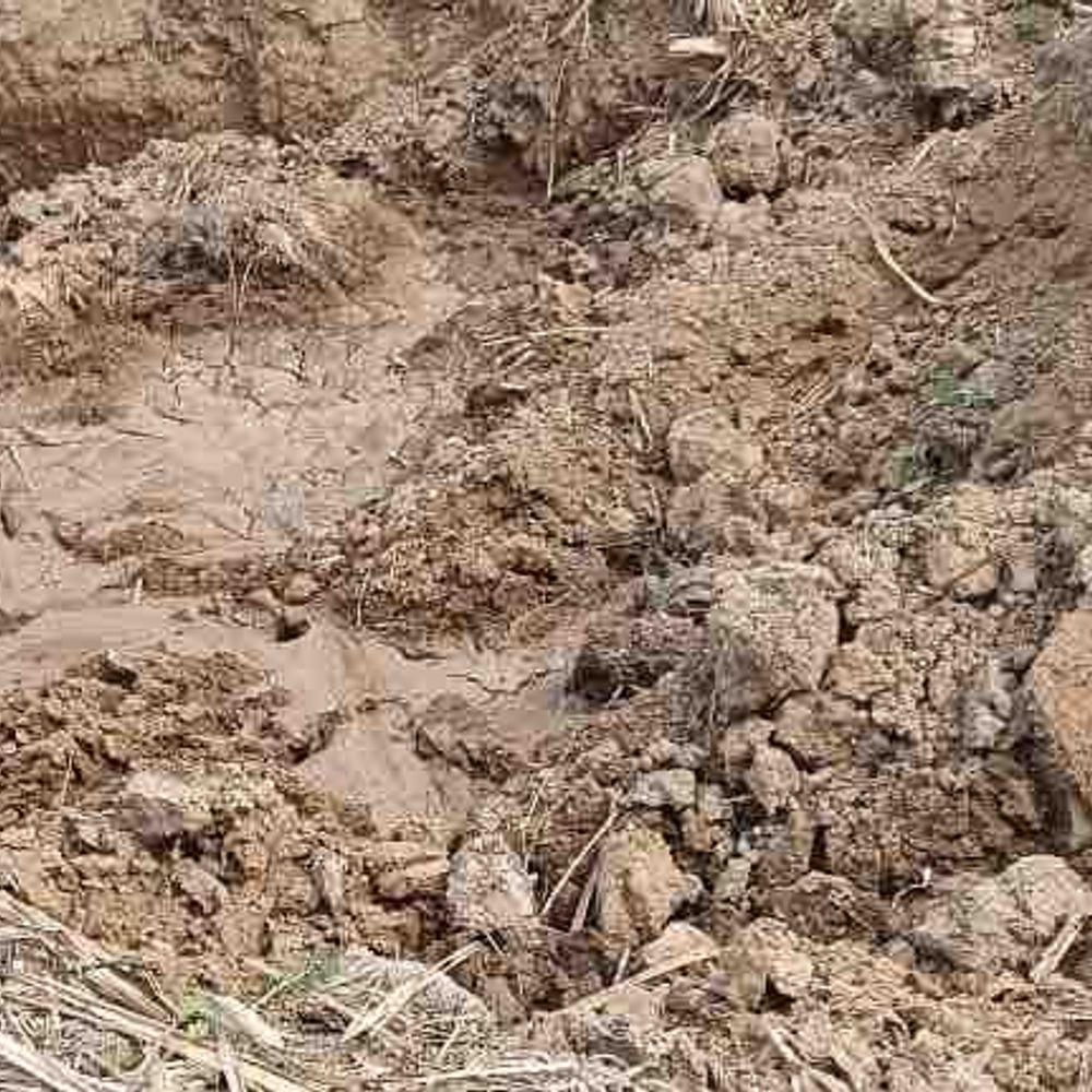 बुलंदशहर में अवैध मिट्टी खनन का आरोप:किसान ने एसएसपी से शिकायत की, अधिकारी बोले- नहीं हो रहा खनन