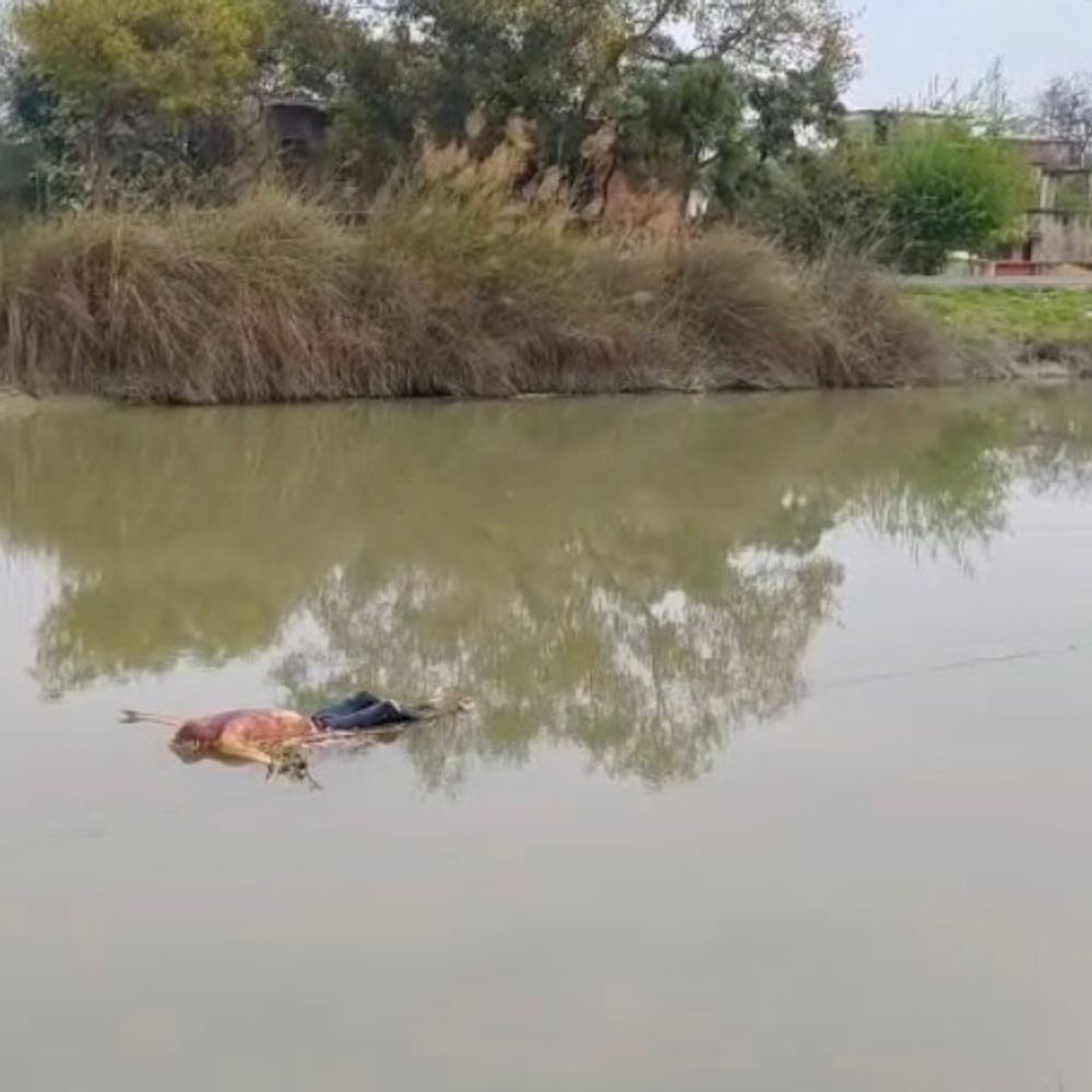 नहर में मिला अज्ञात व्यक्ति का शव:सूचना देने के बाद भी नहीं पहुंची पुलिस, तेज बहाव के कारण आगे बह रहा