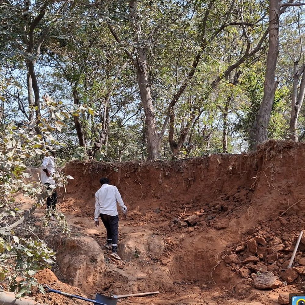 जंगल में अवैध खनन, सैकड़ों पेड़ जमींदोज:पहाड़ खोदकर मिट्टी बेची जा रही, वन विभाग पर मिलीभगत का आरोप