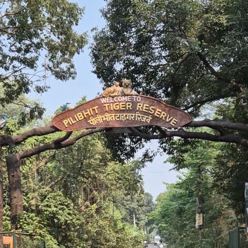 पीलीभीत टाइगर रिजर्व के इको सेंसेटिव जोन की अधिसूचना जारी:विकास कार्यों को मिलेगी गति, संशय समाप्त