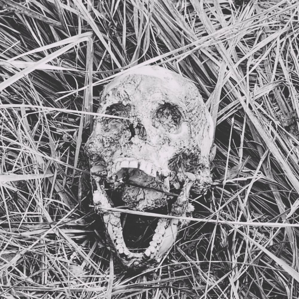 नहर किनारे मिला कंकाल, आधार कार्ड से हुई पहचान:सिद्धार्थनगर में 15 दिन पुरानी गुमशुदगी की गुत्थी सुलझी