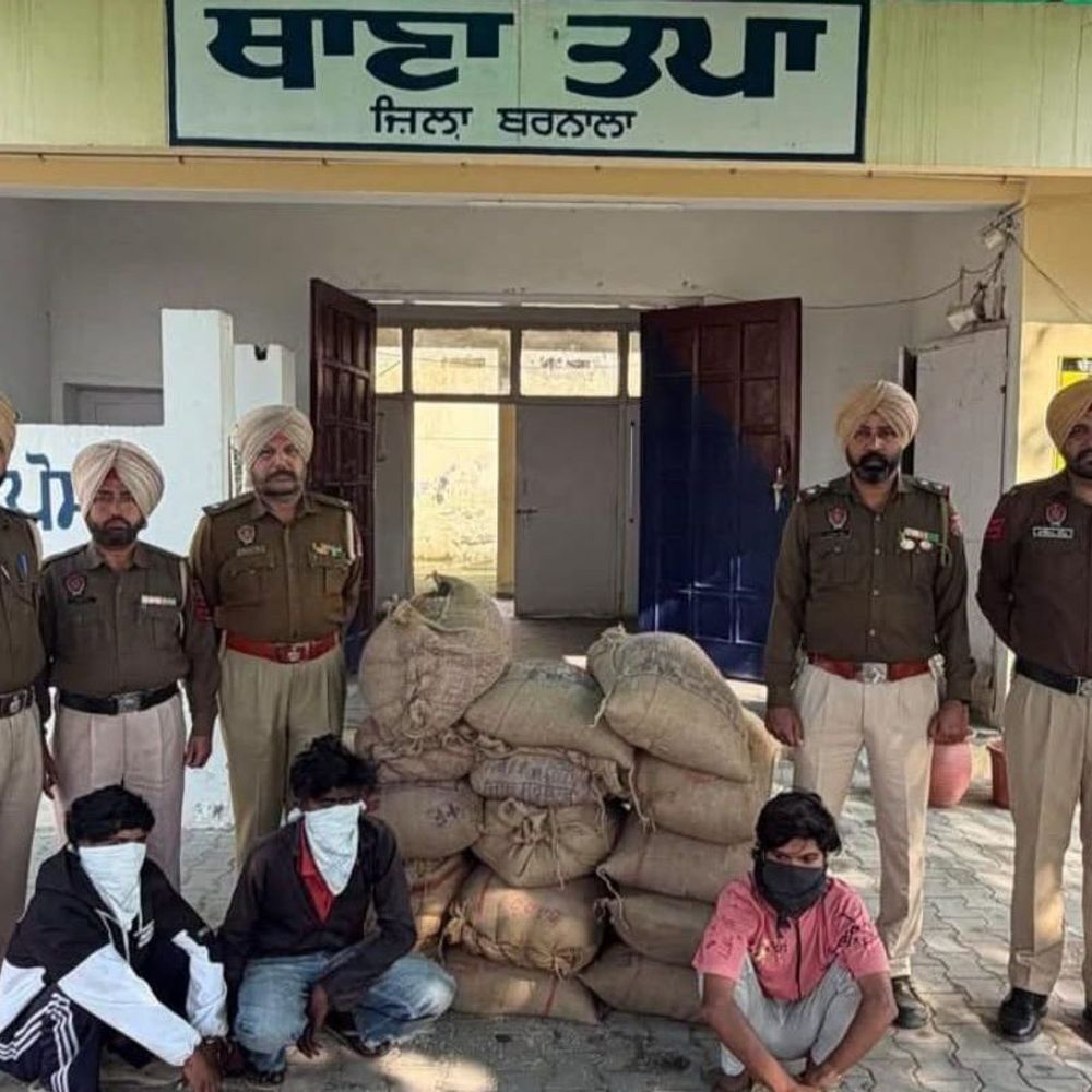 बरनाला में चोरी के तीन आरोपी गिरफ्तार:  वेयरहाउस से चावल चुराकर हुए थे फरार, 22 बोरियां बरामद, तपा पुलिस की कार्रवाई – Barnala News