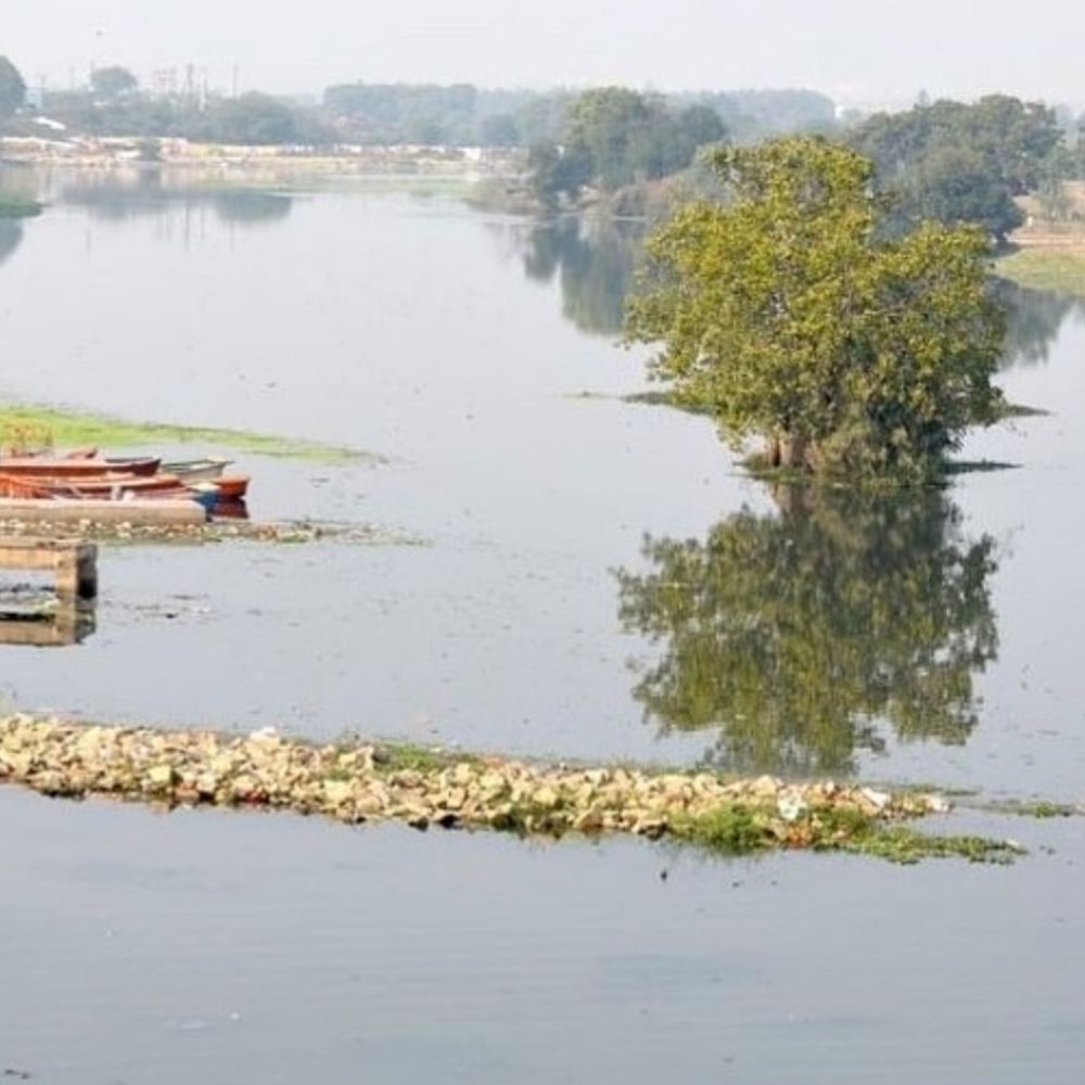 मिल्कीपुर में गोमती नदी की मत्स्य नीलामी पर विवाद:उच्च बोली लगाने वाले ने अनियमितता का लगाया आरोप, विभाग ने बताया निराधार