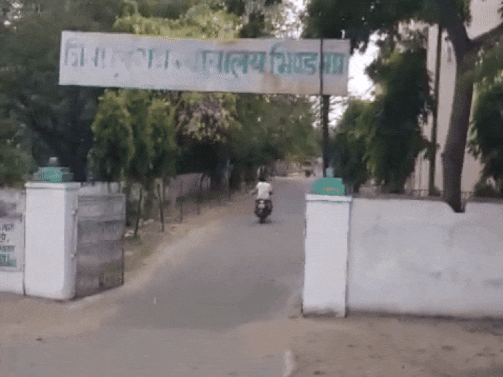 भिंड में हर्ष फायर करने पर पांच साल की सजा:  कोर्ट ने सुनाया फैसला, लड़की को लगी थी गोली – Bhind News