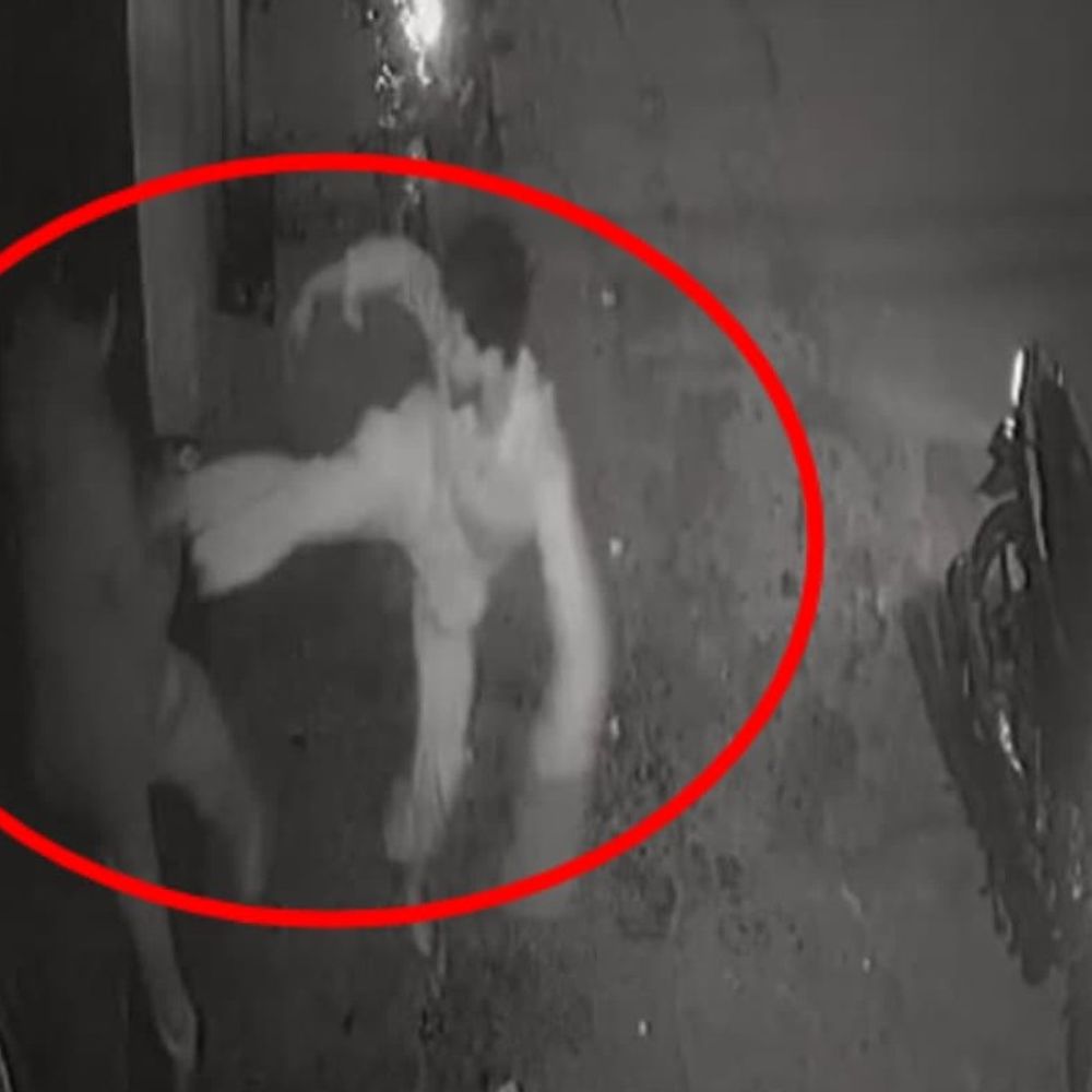 संभल में युवक के सिर पर शराब की बोतल फोड़ी,VIDEO:रंगदारी न देने पर किया हमला, चेहरे-शरीर पर 50 से ज्यादा टांके आए