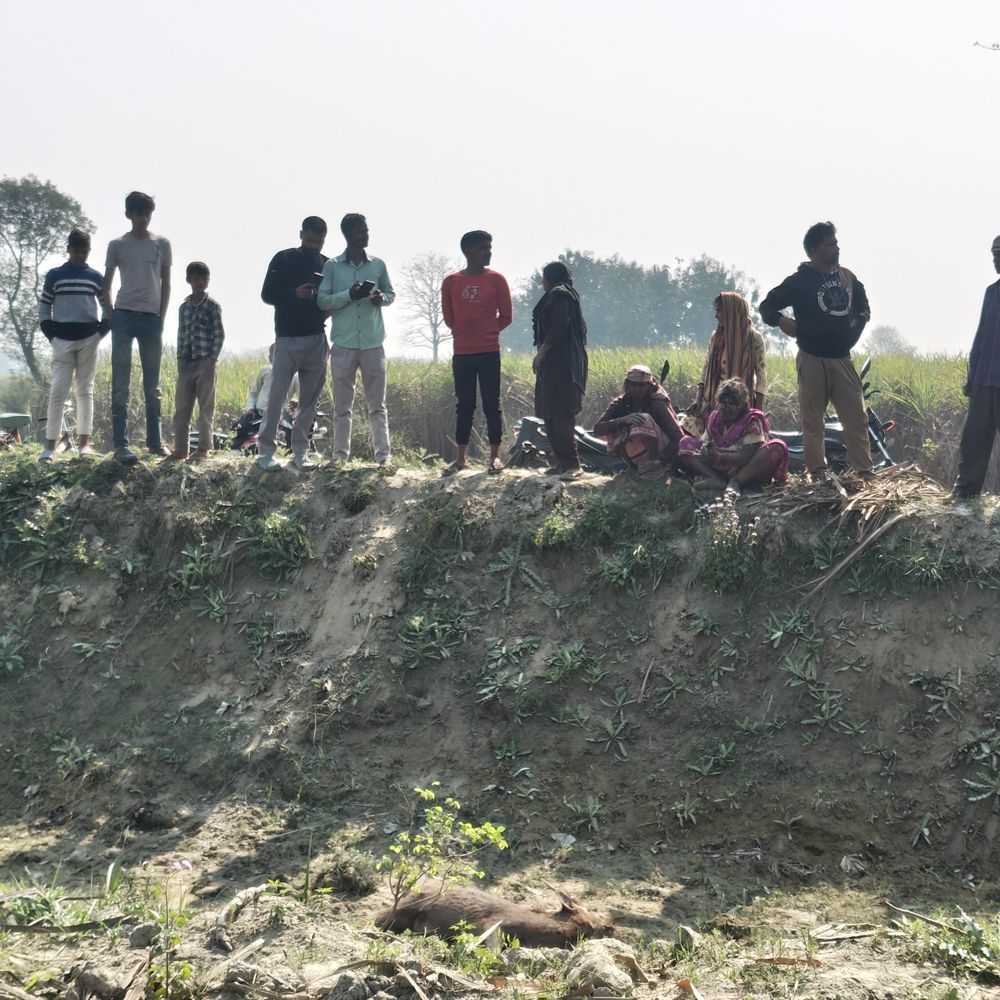 खड्डा के सिसवा गोपाल नहर में मृत मिला हिरन:बाघ की आशंका से दहशत, वन विभाग पर लापरवाही का आरोप