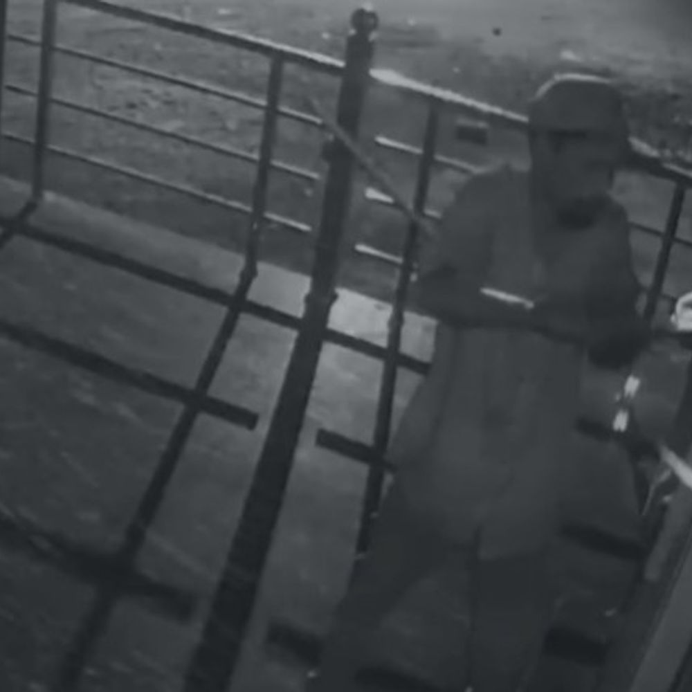 रायपुर के बिंदेश्वर महादेव मंदिर में चोरी, VIDEO:  परिसर में घुसकर दानपेटी किया पार, आरोपी CCTV में कैद; पुलिस तलाश में जुटी – Raipur News