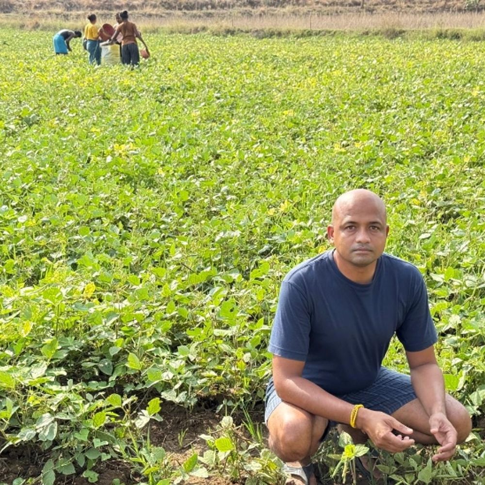 महासमुंद के किसान 65 एकड़ में कर रहे आर्गेनिक खेती:पुरखों से मिली परंपरा, 21 एकड़ जमीन पर कभी यूरिया-डीएपी ही नहीं डाला