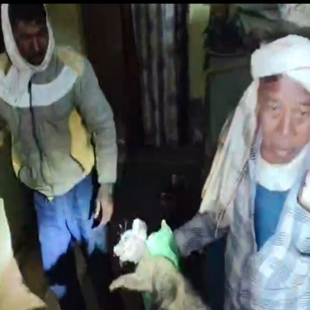 कब्र बिज्जू का ग्रामीणों पर हमला, तीन घायल:सुल्तानपुर में वन विभाग ने जानवर को पकड़ा, ग्रामीणों ने ली राहत की सांस