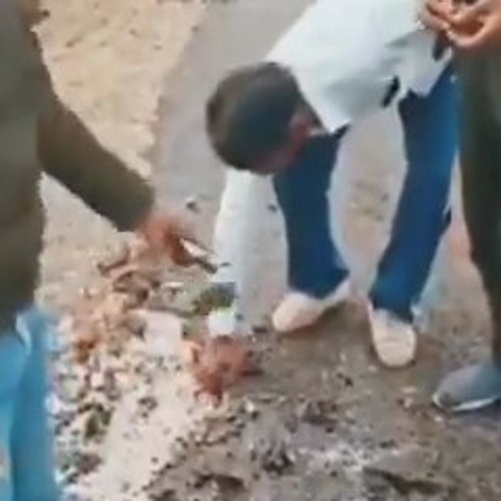 महोबा में नई सड़क बनी, हाथ लगाते ही उखड़ी, VIDEO:घटिया निर्माण खुली पोल, PWD पर उठे गंभीर सवाल