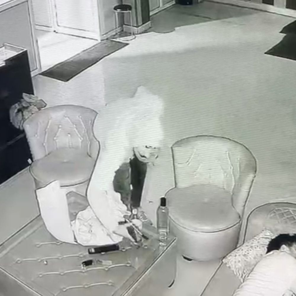 अस्पताल से आईफोन समेत दो मोबाइल चोरी, VIDEO:तीमारदार सो रहे थे, चुपके से दरवाजा खोलकर आया चोर, सिर के पास से उठाया