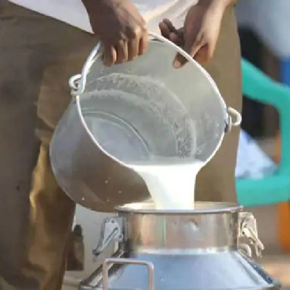 दूध का तीन में से एक सैंपल जांच में फेल:बड़े ब्रांड भी संदेह के घेरे में, देश में बढ़ते उत्पादन के साथ ही मिलावट के मामले भी बढ़ रहे