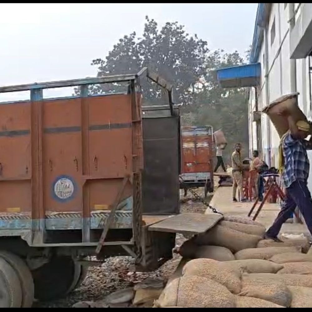 वेयरहाउस में 144 क्विंटल धान कम मिला, तौल कांटा सील:  उमरिया में 48 ट्रकों में कम निकलने पर नोटिस भी दिया, धान खरीदी की जांच में खुलासा – Umaria News